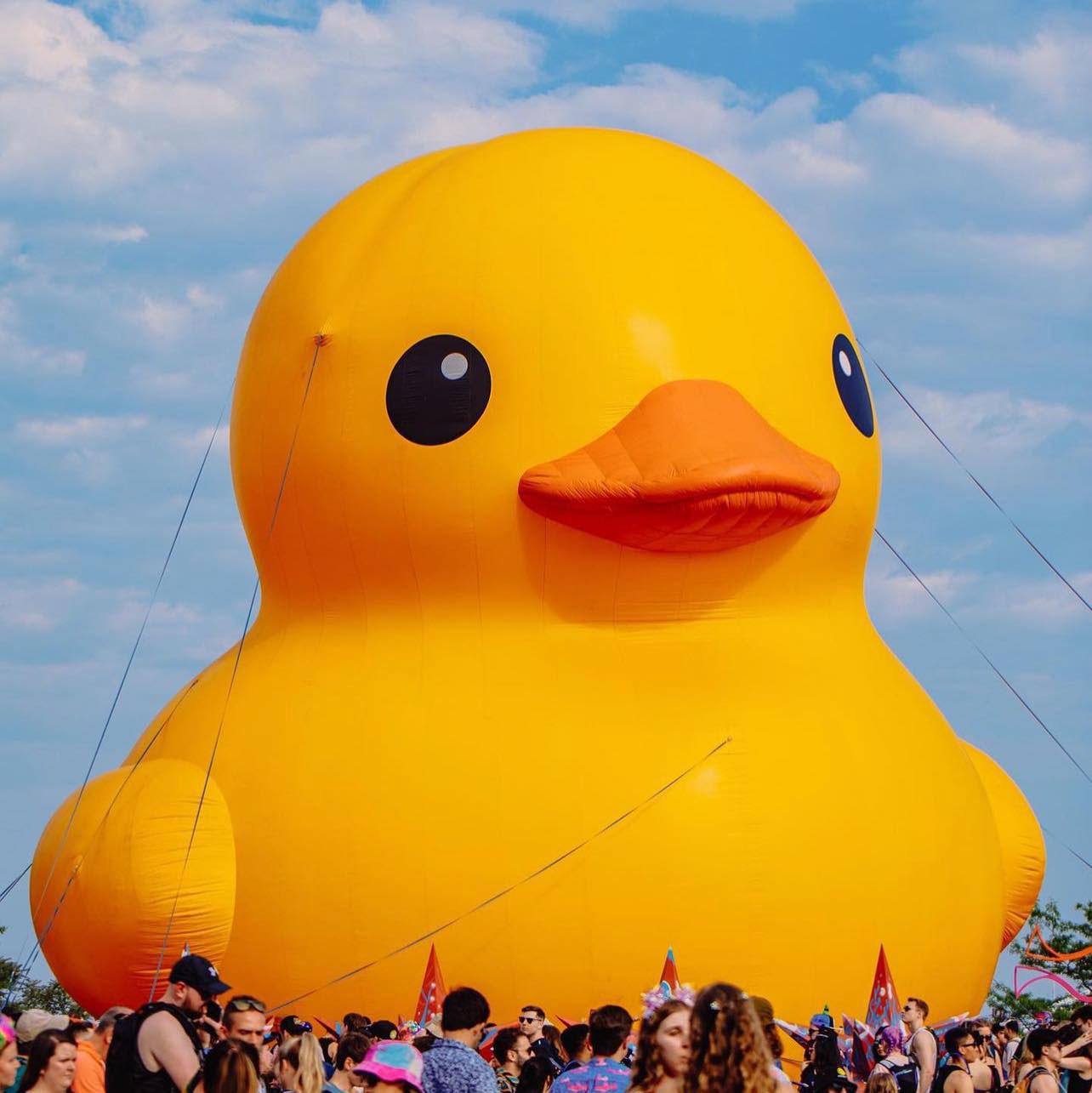 giant yellow duck