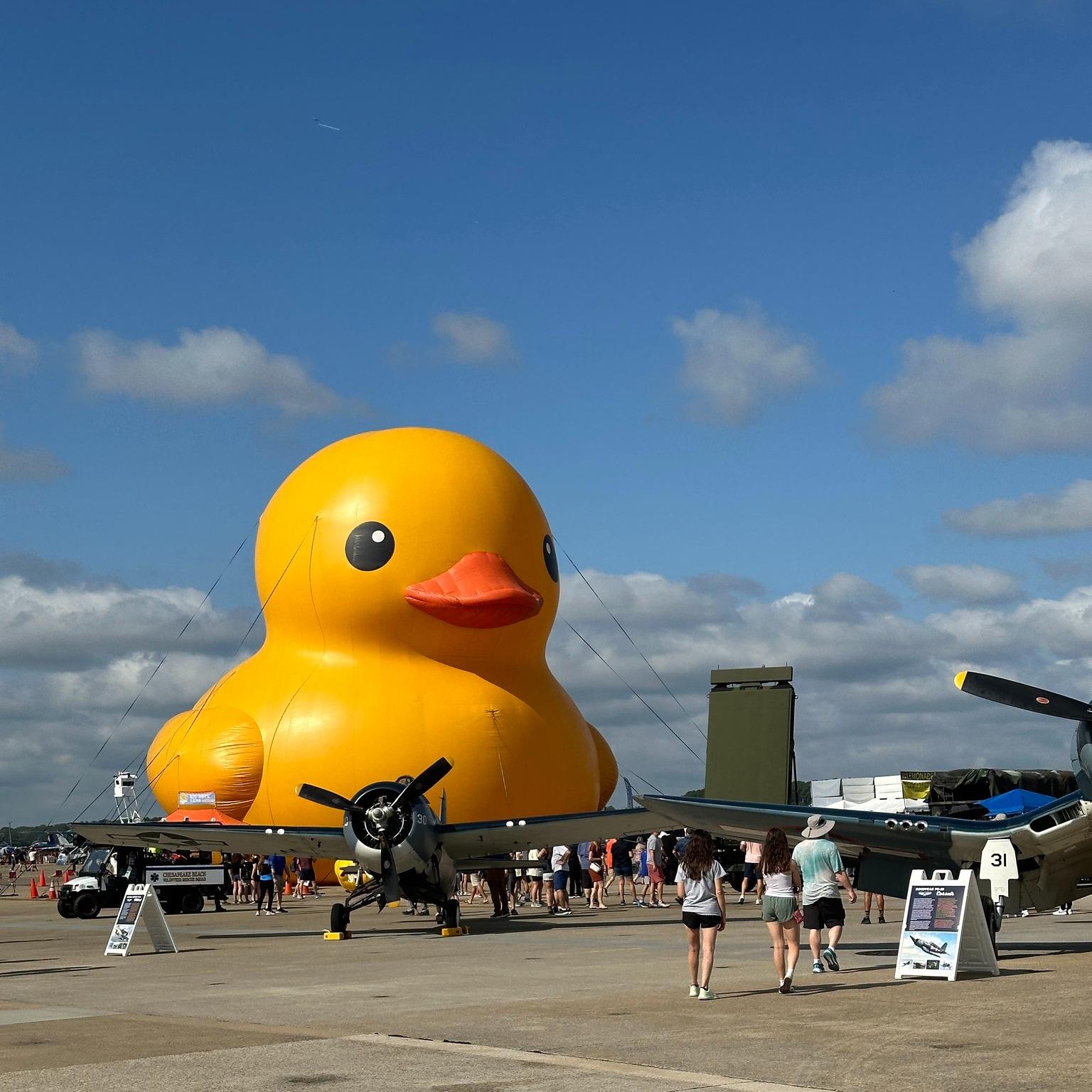 Large inflatable stationary duck