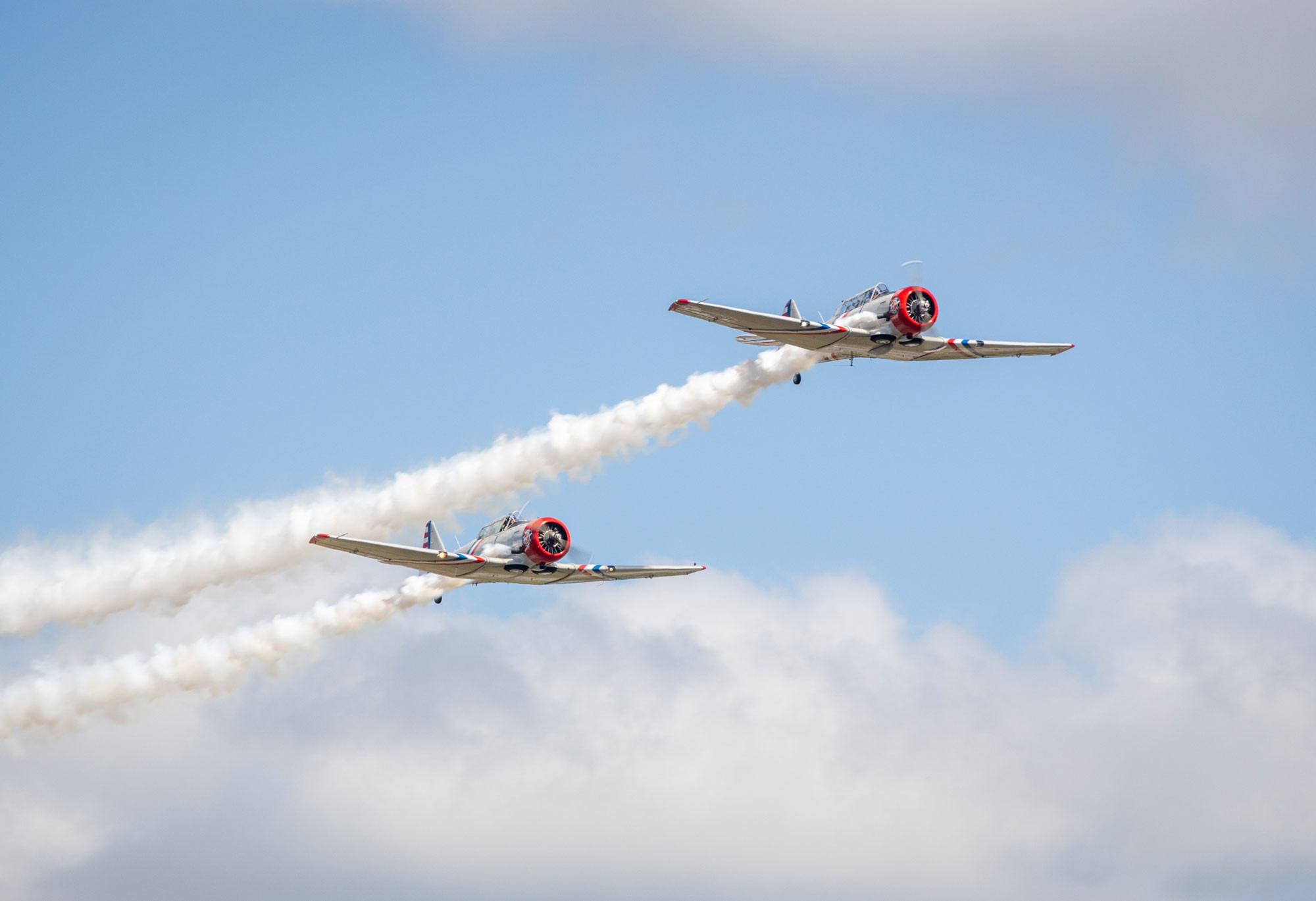 Warbird Thunder airplanes